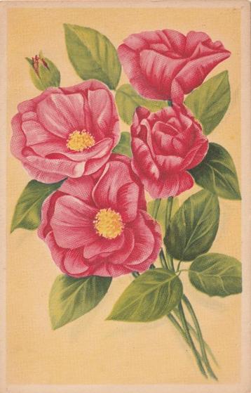 BLOEME BLOEM UIT JAREN 50 ZEER MOOIE OUDE KAART KJ46 beschikbaar voor biedingen
