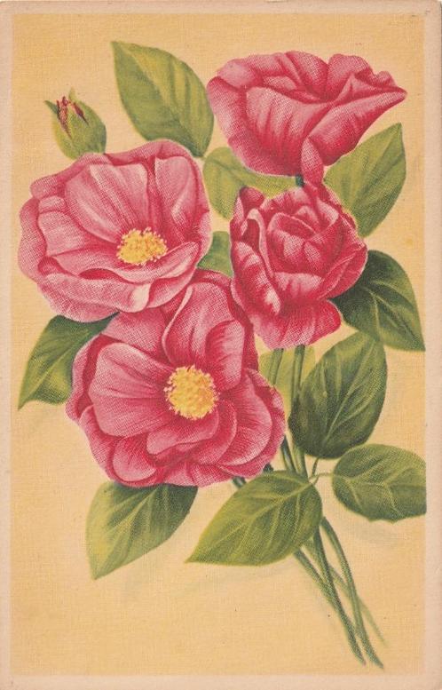 BLOEME BLOEM UIT JAREN 50 ZEER MOOIE OUDE KAART KJ46, Verzamelen, Ansichtkaarten | Themakaarten, Ongelopen, 1920 tot 1940, Overige thema's