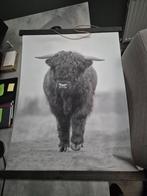 Wanddecoratie Schotse hooglander, Ophalen, Zo goed als nieuw