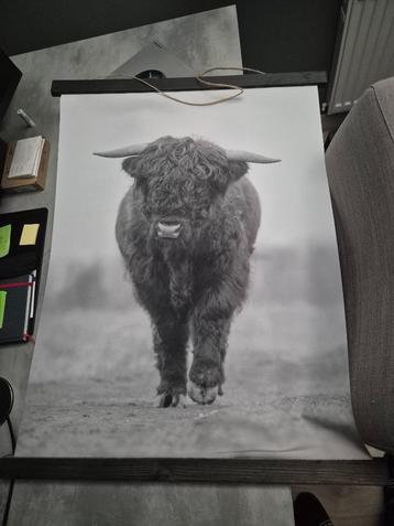 Wanddecoratie Schotse hooglander beschikbaar voor biedingen