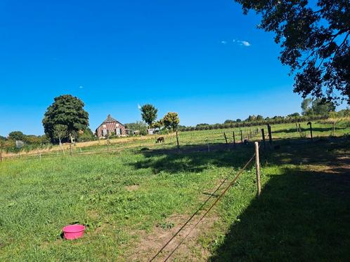 stalling aangeboden, Dieren en Toebehoren, Stalling en Weidegang