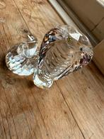 Swarovski cobra zonder doos, Verzamelen, Swarovski, Ophalen of Verzenden, Zo goed als nieuw, Figuurtje