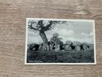 Rolde.Ansichtkaart Hunebed, Ophalen of Verzenden, 1920 tot 1940, Ongelopen