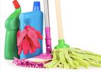 Huishoudelijke hulp/schoonmaakster gezocht, Diensten en Vakmensen, Huishoudelijke hulp, Schoonmaken