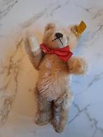 Vintage Steiff Teddy-18cm-mohair-jaren 70, Ophalen of Verzenden, Zo goed als nieuw, Stoffen beer, Steiff