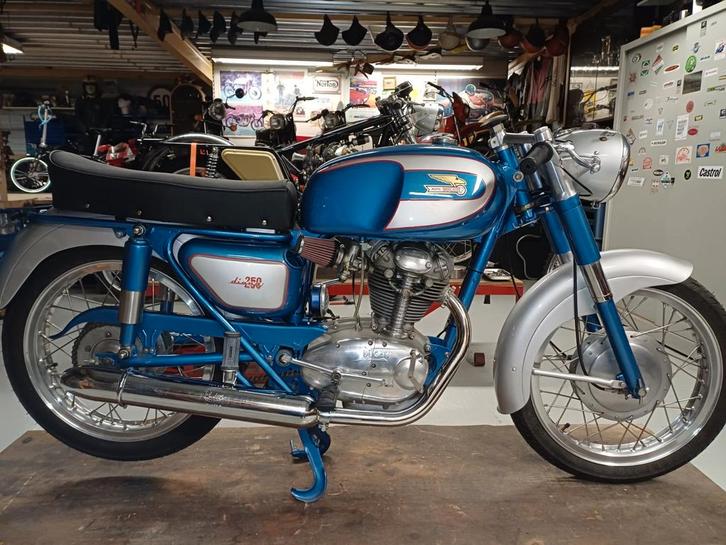 Ducati Diana, Motoren, Motoren | Oldtimers, Ophalen