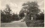 Loenen bij Apeldoorn  Boschgezicht, Ophalen of Verzenden, Voor 1920, Gelopen, Gelderland