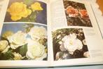 boek - alles over rozen, Ophalen of Verzenden, Zomer