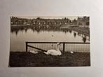 'S gravenzande Zwanenvijver v.d.Kasteelplein, Verzamelen, Ansichtkaarten | Nederland, Ophalen of Verzenden, Voor 1920