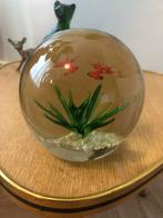 Vintage presse-papier aquarium glazen bol, Ophalen of Verzenden