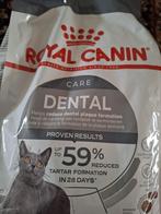 kattenvoer Royal Canin Dental care, Ophalen, Kat