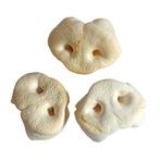 Varkensneus, Ophalen of Verzenden, Hond