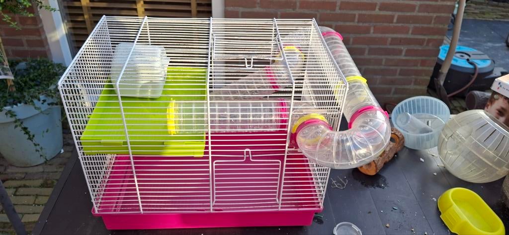 Hamsterkooi, Dieren en Toebehoren, Kooi, Minder dan 75 cm, Zo goed als nieuw, Hamster