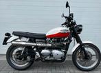 Triumph Scrambler 900 met lage km stand !, Motoren, 7715PV, 2 cilinders, Bedrijf, 900 cc