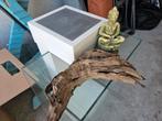 Aquarium fluval edge, Ophalen, Zo goed als nieuw, Leeg aquarium