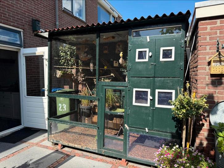 Complete voliere met kanaries en napoleonwevers, Dieren en Toebehoren, Vogels | Hokken en Kooien, Zo goed als nieuw, Volière, Aluminium