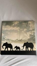 Schilderij olifanten, Ophalen of Verzenden