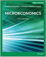 Microeconomics David Besanko, D. Besanko en R. Braeutig, Ophalen of Verzenden, Management, Zo goed als nieuw