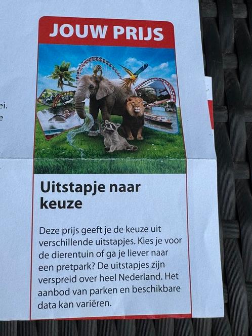 Uitstapje naar keuze voor 4 personen Postcodeloterij, Tickets en Kaartjes, Recreatie | Pretparken en Attractieparken, Drie personen of meer