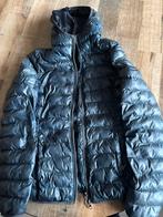 Pikeur Dames Jas - maat s, Gebruikt, Overige soorten, Ophalen of Verzenden, Dames