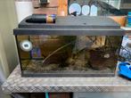 Aquarium 60l compleet, Gebruikt, Ophalen, Leeg aquarium