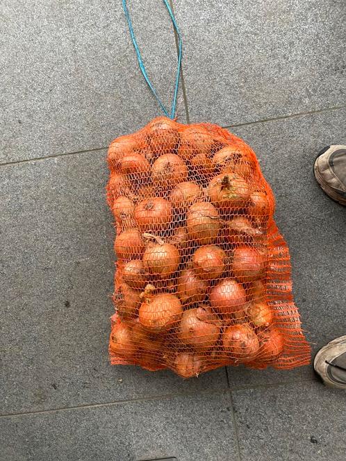 uien te koop, Diversen, Levensmiddelen, Ophalen of Verzenden