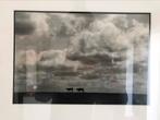 Koeien (silhouet) aan de horizon in aluminium fotolijst 50cm, Foto of Poster, Gebruikt, Ophalen of Verzenden, 50 tot 75 cm