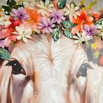 3D Schilderij | Koe & Bloemen | 80x80 | Peinted, Huis en Inrichting, Nieuw, Ophalen of Verzenden, Schilderij, 75 tot 100 cm