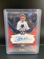Berbatov Auto Panini Select - Tottenham/Man Utd, Verzamelen, Ophalen of Verzenden, Zo goed als nieuw, Buitenlandse clubs, Spelerskaart