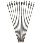 Carbon Pijlen Set / Pijl En Boog Compound Handboog Schieten, Sport en Fitness, Handboogschieten, Verzenden, Nieuw, Pijlen