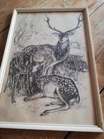 Vintage Bambi tekening, Antiek en Kunst, Ophalen