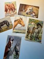 6 ansichtkaarten paarden, Verzamelen, Ansichtkaarten | Dieren, Paard, Gelopen, Ophalen of Verzenden