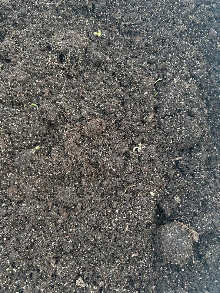 Tuinaarde/Potgrond - Ideaal voor uw tuin!, Tuin en Terras, Aarde en Mest, Tuinaarde, Ophalen