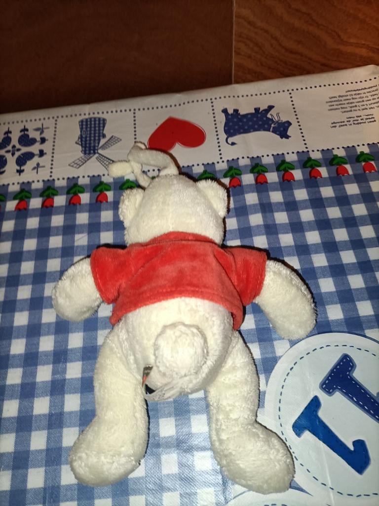 Feyenoord beer knuffel met slaapliedje 20 cm groot, Ophalen of Verzenden, Zo goed als nieuw, Beer