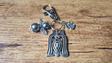 ACTIE -20% Australische silkyterriër met beschermengeltje beschikbaar voor biedingen