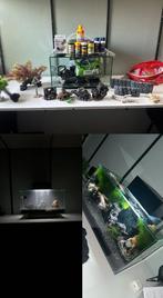 Fluval Edge 23L Zwart + Veel Accessoire erbij COMPLEET, Dieren en Toebehoren, Vissen | Aquaria en Toebehoren, Ophalen, Zo goed als nieuw