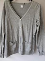Gaastra vest xl, Kleding | Dames, Gaastra, Maat 46/48 (XL) of groter, Nieuw, Ophalen of Verzenden