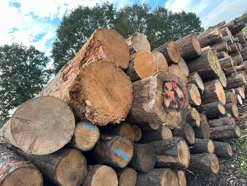 Fijnspar stammen beschikbaar voor biedingen