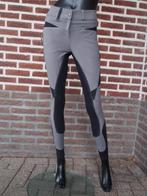 Rijbroek QHP Danae lederen zitvlak grijs maat 36, Dressuur, Nieuw, Dames, Onderkleding