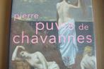 PIERRE PUVIS DE CHAVANNES / Aimée Brown Price, Ophalen of Verzenden, Zo goed als nieuw