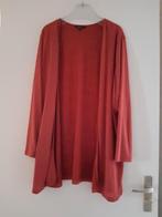 Loshangend vest, Ophalen of Verzenden, Nieuw, Trui of Vest