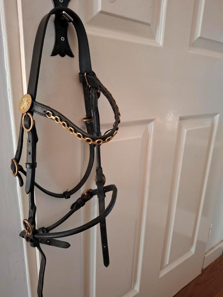 Hoofdstel pony martingaal pony full  teugels, Dieren en Toebehoren, Paarden en Pony's | Hoofdstellen en Tuigage, Zo goed als nieuw