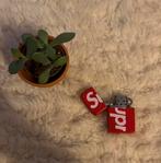 Supreme Logo Zippo FW18, Verzamelen, Rookartikelen, Aanstekers en Luciferdoosjes, Ophalen of Verzenden, Nieuw, Aansteker