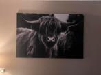 Schilderij doek bizon, Antiek en Kunst, Ophalen of Verzenden