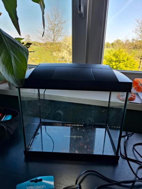 Superfish 20 start kit te koop, compleet, Dieren en Toebehoren, Vissen | Aquaria en Toebehoren, Ophalen