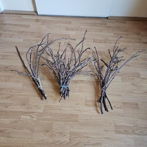 ZGAN gedroogde walnoottakken (3x), Huis en Inrichting, Woonaccessoires | Kunstplanten en Kunstbloemen, Zo goed als nieuw, Binnen
