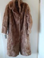 bontjas nerts Bouckaert pelzen maat 42 meulebeke wijnegem, Kleding | Dames, Ophalen of Verzenden, Zo goed als nieuw, Maat 42/44 (L)