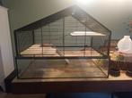 Beeztees Hamsters kooi met extra's, Dieren en Toebehoren, Kooi, Minder dan 75 cm, Zo goed als nieuw, Hamster