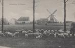 ACHTERBERG - CA 1910 - Molen, Verzenden, Voor 1920, Ongelopen, Utrecht