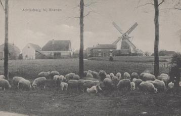 ACHTERBERG - CA 1910 - Molen beschikbaar voor biedingen